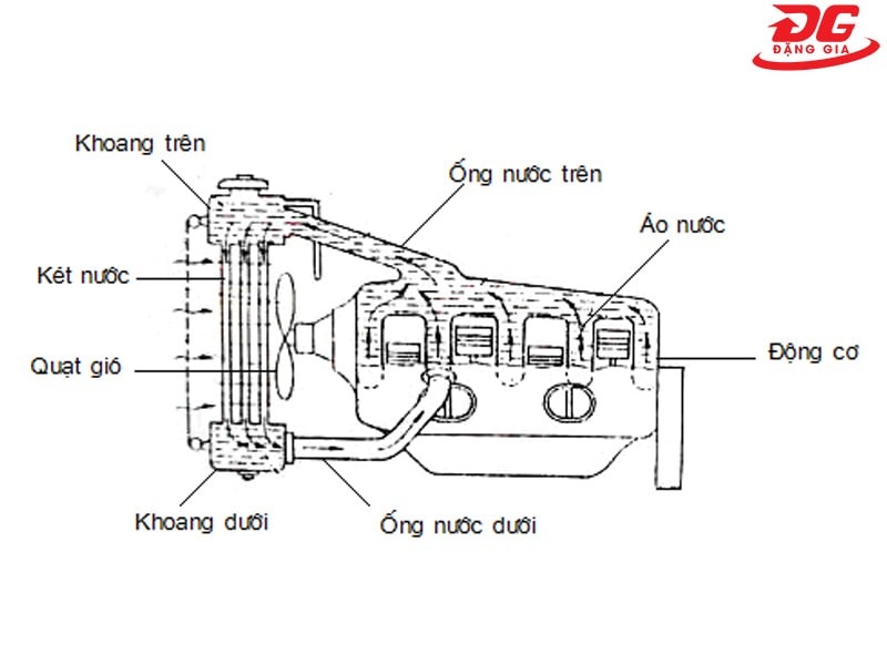 Hình minh họa sơ đồ làm mát nước kiểu đối lưu tự nhiên