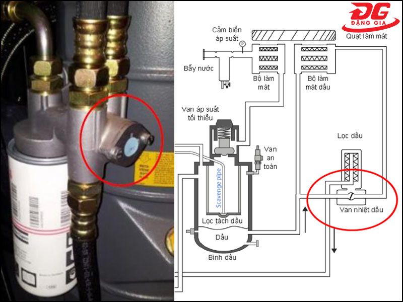 Vị trí của van nhiệt dầu máy nén khí