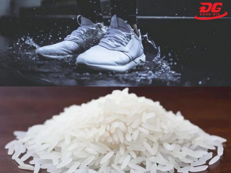 Giày khô chỉ sau một đêm nhờ sử dụng gạo