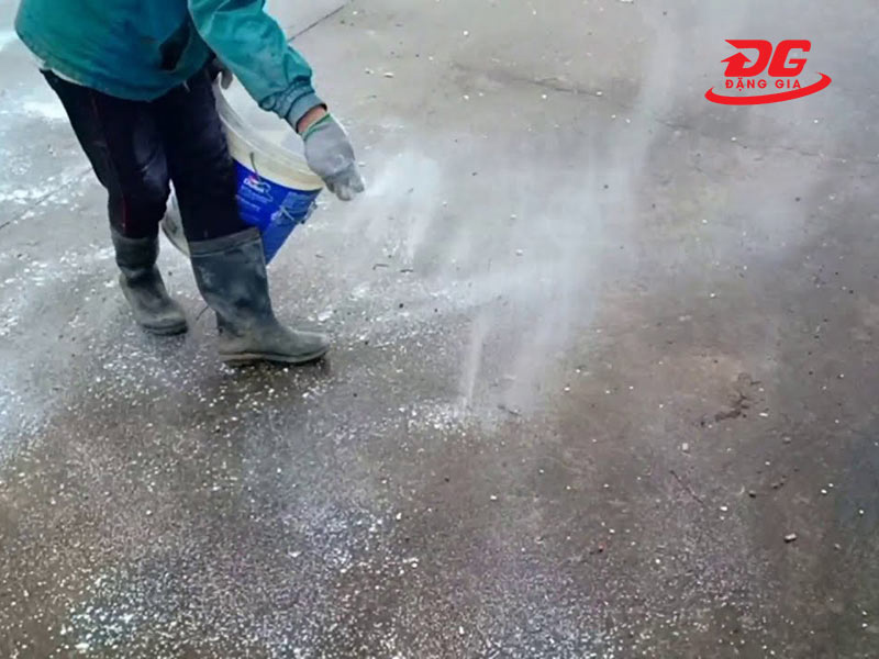 Cách diệt rong rêu trên nền bê tông bằng vôi bột