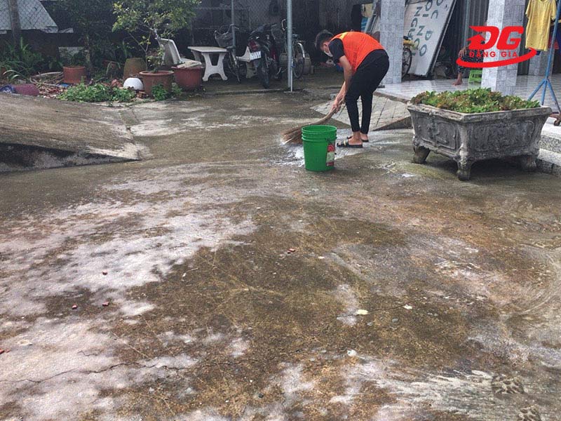Thường xuyên vệ sinh, cọ rửa sân vườn