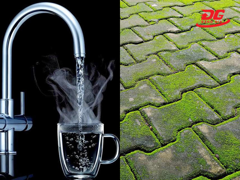 Cách tẩy rêu trên nền xi măng bằng nước ấm