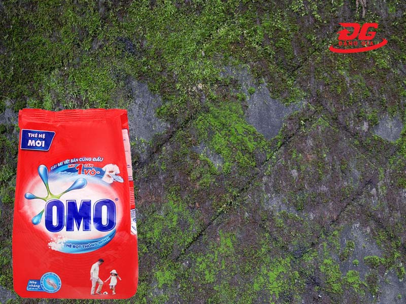 Dùng bột giặt để loại bỏ rong rêu khá hiệu quả