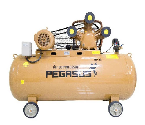 Máy nén khí Pegasus TM-W-0.9/8-500L 5