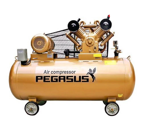 Máy nén khí Pegasus TM-V-1.05/12.5-330L 5