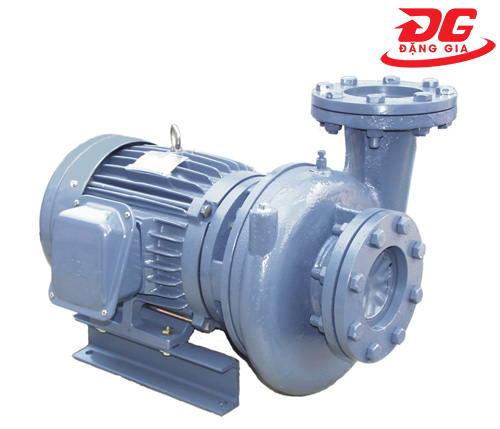 Máy bơm nước ly tâm dạng xoáy đầu gang TECO HVP3100-15.5 40 7.5HP