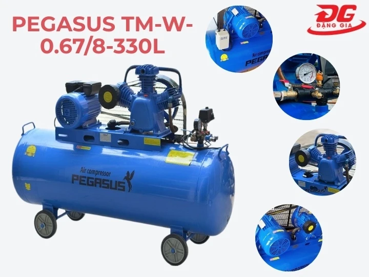 máy nén khí Pegasus TM-W-0.67/8-330L