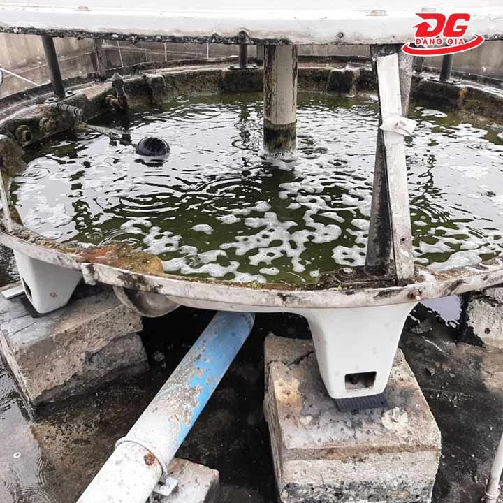 Tháp giải nhiệt có rêu tảo