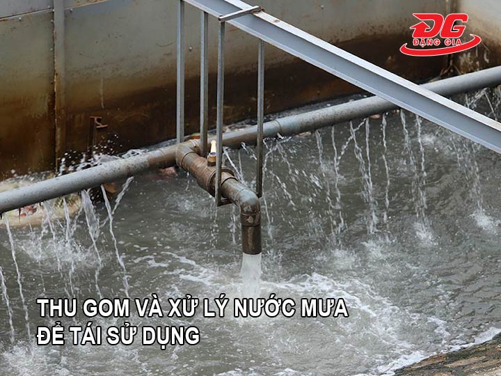 Thu gom và xử lý nước mưa