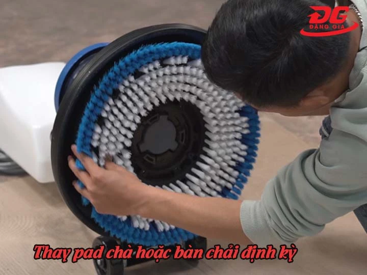 Thay bàn chải định kỳ