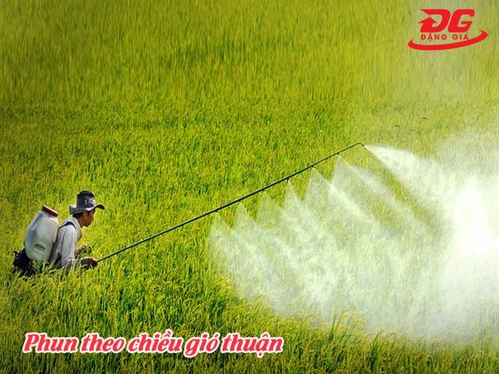 Phun theo chiều gió thuận