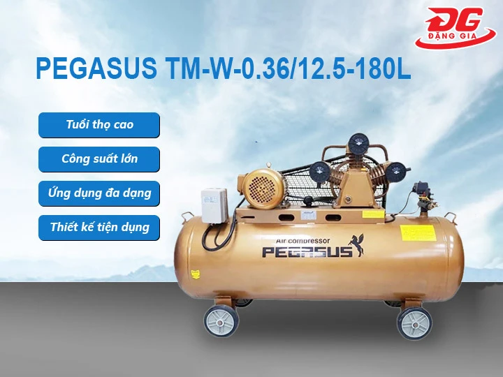 Hiệu suất Máy nén khí dây đai Pegasus TM-W-0.36/12.5-180L