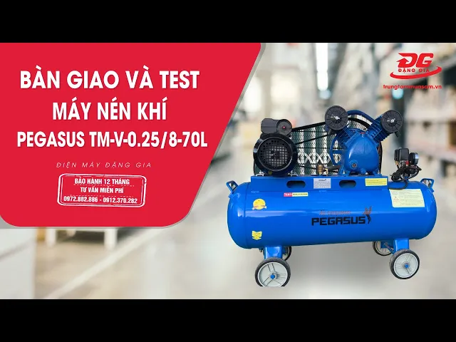 Máy nén khí Pegasus TM-V-0.25/8-70L 5