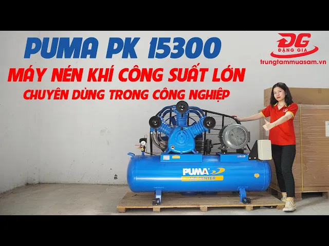 Máy nén khí Puma PK-15300(15HP) 7