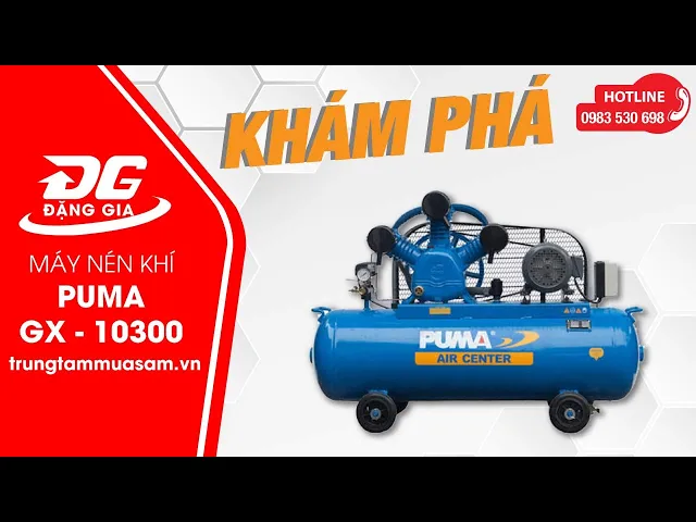 Máy nén khí Puma GX-100300(10HP) 5