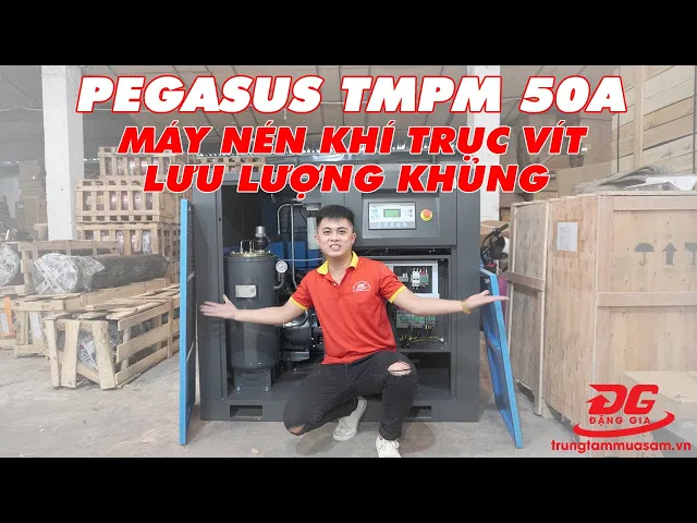 Máy nén khí trục vít Pegasus TMPM50A 4