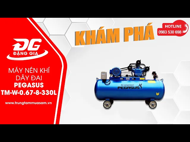 Máy nén khí Pegasus TM-W-0.67/8-330L 6