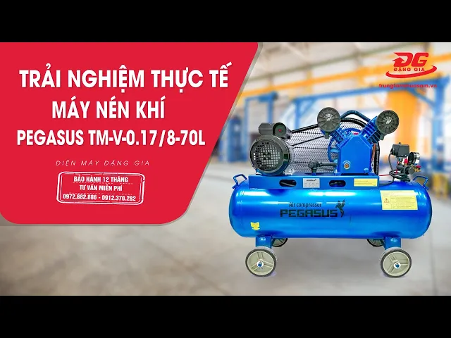 Máy nén khí Pegasus TM-V-0.17/8-70L 5