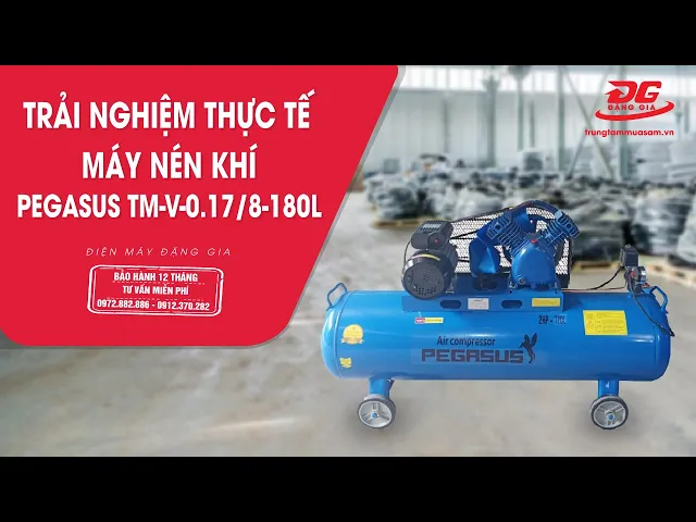 Máy nén khí Pegasus TM-V-0.17/8-180L 5