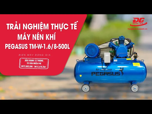 Máy nén khí dây đai Pegasus TM-W-1.6/8-500L 6