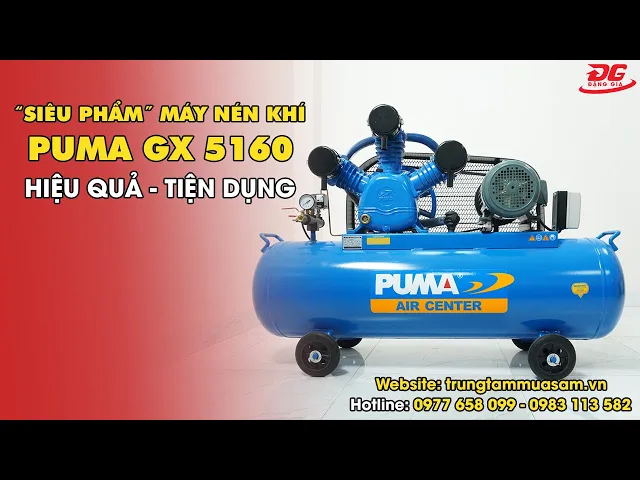 Máy nén khí Puma GX50160-5HP 6