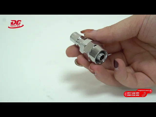 Cút nối nhanh đầu đực gen trong 6