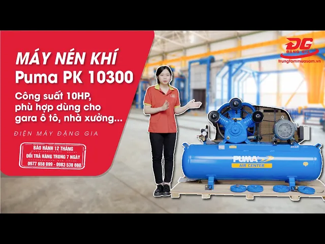 Máy nén khí Puma PK-10300(10HP) 6